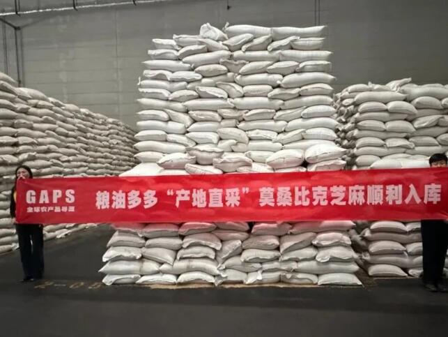 Good news! Mozambique sesame smoothly arrived in Hong Kong into storage, grain and oil more cross-border sources to shine again!
